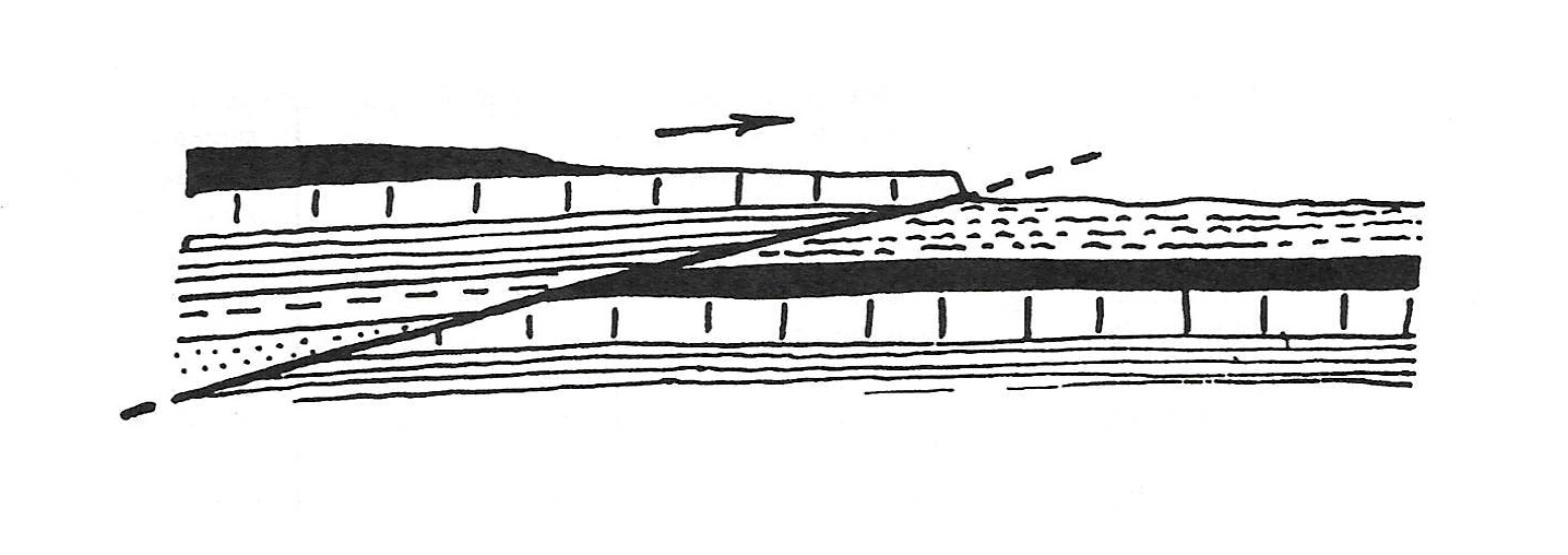 1-3\slika 1-3-4.jpg